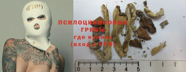 эйфоретик Ельня
